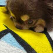 ヒメ日記 2026/03/22 17:03 投稿 真央（人妻） Yシャツと私