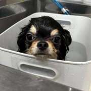 ヒメ日記 2026/03/24 11:43 投稿 真央（人妻） Yシャツと私