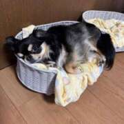 ヒメ日記 2026/03/25 11:45 投稿 真央（人妻） Yシャツと私