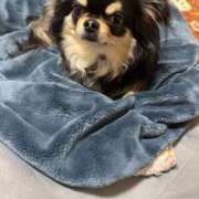 ヒメ日記 2026/03/26 12:00 投稿 真央（人妻） Yシャツと私