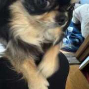 ヒメ日記 2026/03/27 18:01 投稿 真央（人妻） Yシャツと私