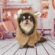 ヒメ日記 2026/04/02 22:53 投稿 真央（人妻） Yシャツと私