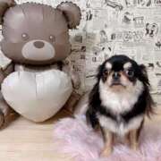 ヒメ日記 2026/04/06 13:00 投稿 真央（人妻） Yシャツと私