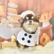 ヒメ日記 2026/04/06 18:42 投稿 真央（人妻） Yシャツと私