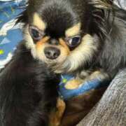 ヒメ日記 2026/04/08 14:07 投稿 真央（人妻） Yシャツと私