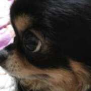 ヒメ日記 2026/04/09 11:54 投稿 真央（人妻） Yシャツと私