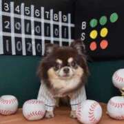 ヒメ日記 2026/04/11 12:20 投稿 真央（人妻） Yシャツと私