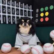 ヒメ日記 2026/04/13 12:42 投稿 真央（人妻） Yシャツと私