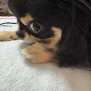 ヒメ日記 2026/04/13 16:39 投稿 真央（人妻） Yシャツと私