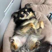 ヒメ日記 2026/04/15 12:51 投稿 真央（人妻） Yシャツと私