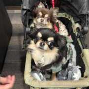 ヒメ日記 2026/04/16 11:52 投稿 真央（人妻） Yシャツと私