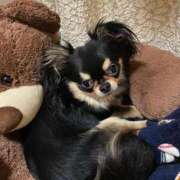 ヒメ日記 2026/04/19 15:42 投稿 真央（人妻） Yシャツと私