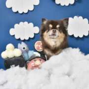 ヒメ日記 2026/04/20 13:48 投稿 真央（人妻） Yシャツと私