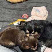 真央（人妻） おはよ Yシャツと私