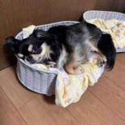 ヒメ日記 2026/05/31 11:53 投稿 真央（人妻） Yシャツと私