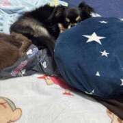 ヒメ日記 2026/07/09 12:04 投稿 真央（人妻） Yシャツと私