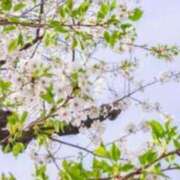 ヒメ日記 2025/04/13 23:46 投稿 みゆき（人妻） Yシャツと私