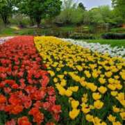 ヒメ日記 2025/04/27 21:47 投稿 みゆき（人妻） Yシャツと私