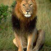 ヒメ日記 2025/05/04 20:01 投稿 みゆき（人妻） Yシャツと私