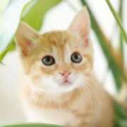 ヒメ日記 2025/05/24 23:23 投稿 みゆき（人妻） Yシャツと私