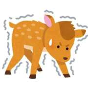 ヒメ日記 2025/06/29 20:01 投稿 みゆき（人妻） Yシャツと私