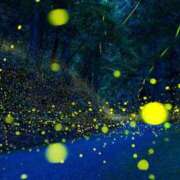 ヒメ日記 2025/07/05 23:57 投稿 みゆき（人妻） Yシャツと私