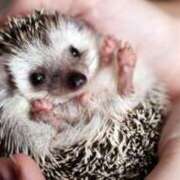 ヒメ日記 2025/08/03 11:16 投稿 みゆき（人妻） Yシャツと私