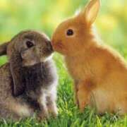 ヒメ日記 2025/11/03 23:06 投稿 みゆき（人妻） Yシャツと私