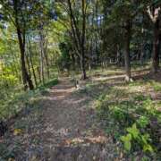 ヒメ日記 2025/11/07 20:01 投稿 みゆき（人妻） Yシャツと私