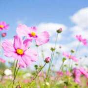 ヒメ日記 2025/11/09 23:53 投稿 みゆき（人妻） Yシャツと私