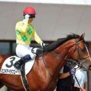 ヒメ日記 2025/11/17 20:01 投稿 みゆき（人妻） Yシャツと私