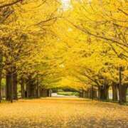 ヒメ日記 2025/11/24 13:31 投稿 みゆき（人妻） Yシャツと私