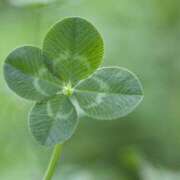 ヒメ日記 2025/11/29 18:09 投稿 みゆき（人妻） Yシャツと私