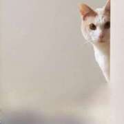 ヒメ日記 2026/01/15 20:01 投稿 みゆき（人妻） Yシャツと私