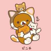 ヒメ日記 2026/02/22 23:19 投稿 みゆき（人妻） Yシャツと私