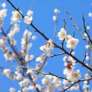 ヒメ日記 2026/02/28 12:42 投稿 みゆき（人妻） Yシャツと私