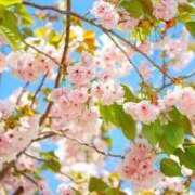 ヒメ日記 2026/04/12 14:25 投稿 みゆき（人妻） Yシャツと私