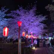 ヒメ日記 2025/04/04 10:38 投稿 りおな 和歌山人妻援護会