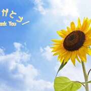ヒメ日記 2026/08/09 21:39 投稿 りおな 和歌山人妻援護会