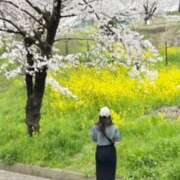 ヒメ日記 2026/04/04 10:06 投稿 ゆうり 和歌山人妻援護会