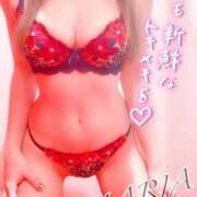 ヒメ日記 2025/12/17 11:53 投稿 まりあ abc＋