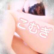 ヒメ日記 2025/03/12 12:23 投稿 こむぎ フェアリードール