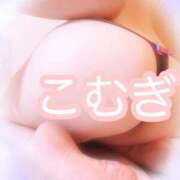 ヒメ日記 2025/07/17 12:23 投稿 こむぎ フェアリードール