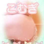 ヒメ日記 2025/09/10 12:43 投稿 こむぎ フェアリードール