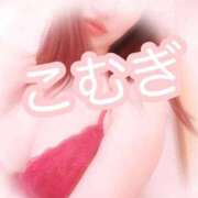 ヒメ日記 2025/10/22 12:23 投稿 こむぎ フェアリードール