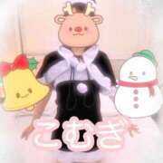 ヒメ日記 2025/11/27 17:14 投稿 こむぎ フェアリードール