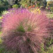 ヒメ日記 2025/03/14 18:53 投稿 せな フェアリードール