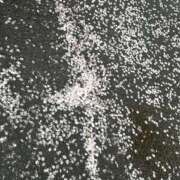 ヒメ日記 2025/04/14 21:53 投稿 せな フェアリードール