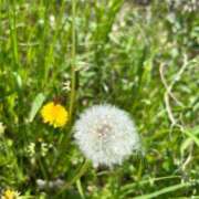 ヒメ日記 2025/04/21 16:43 投稿 せな フェアリードール