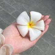 ヒメ日記 2025/05/15 21:23 投稿 せな フェアリードール